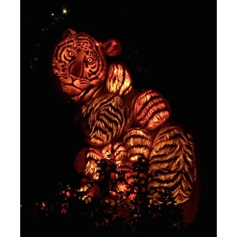 Tiger Lights Diamond Painting Kit