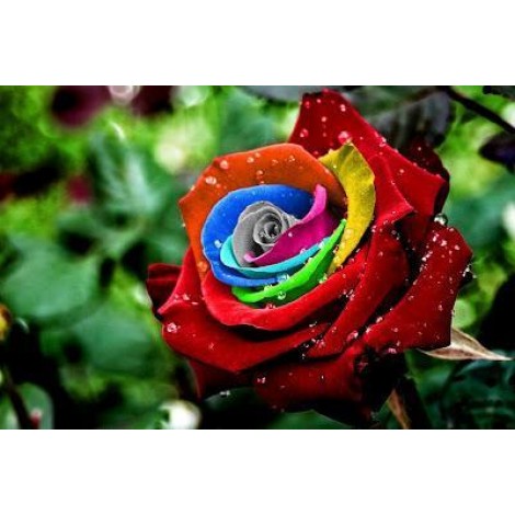 Rainbow Flowers Diamond Painting Kit Rainbow Flowers-16