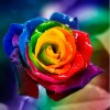 Rainbow Flowers Diamond Painting Kit Rainbow Flowers-13