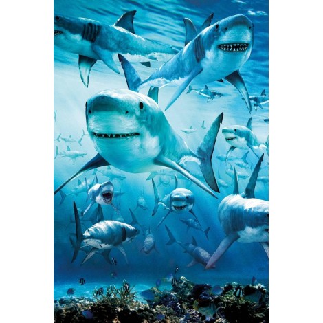 Sharks Animal Diamond Painting Kit