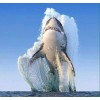 Shark Animals Diamond Painting Kit