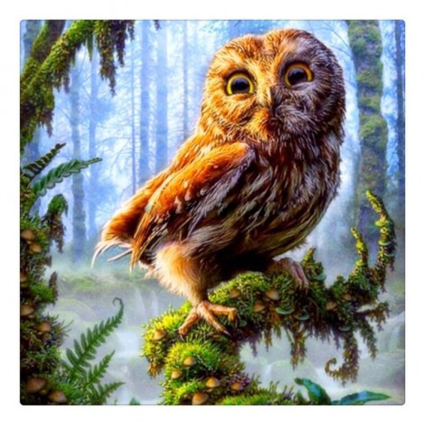 Owl Needlework Diamond Painting Kit