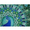 Special Shaped Peacock Diamond Painting Kit