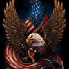 Eagle American Flag Diamond Painting Kit