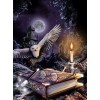 Owl Night Book Diamond Painting Kit