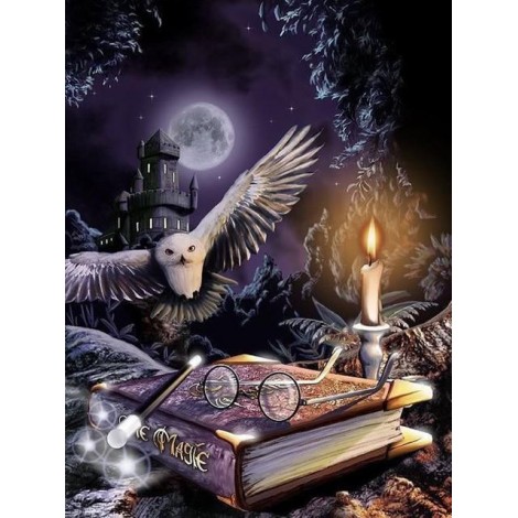 Owl Night Book Diamond Painting Kit