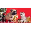 Dog And Cat Christmas Diamond Painting Kit