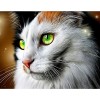 Melancholy Cat Diamond Painting Kit