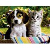 Dog And Cat Diamond Painting Kit